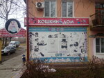 Koshkin Dom (Liteynaya ulitsa, 27) ، متجر للحيوانات الأليفة