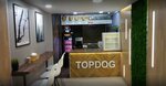 Topdog хот-доги (Baumana Street, 51), cafe