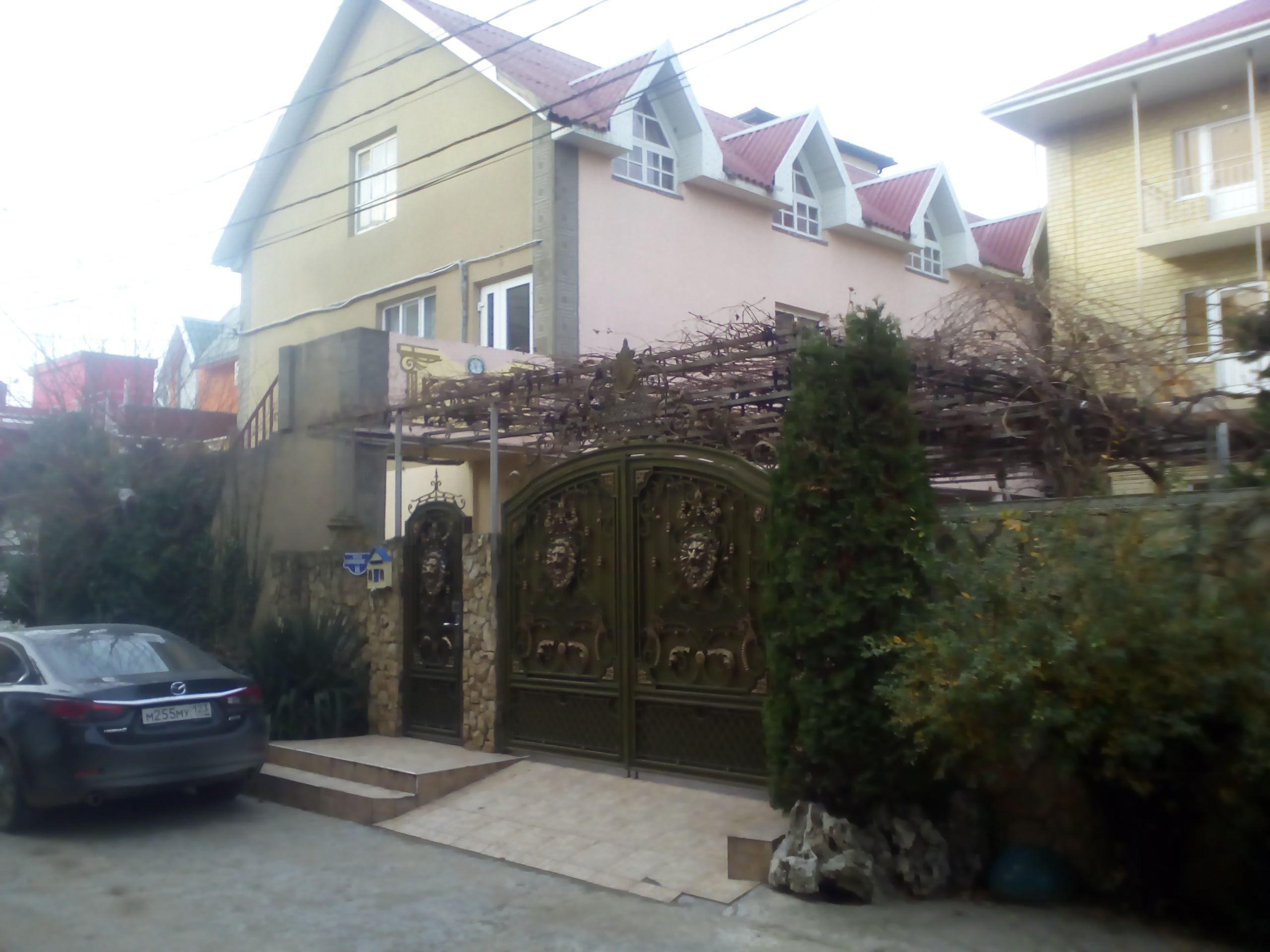 Фото Костас