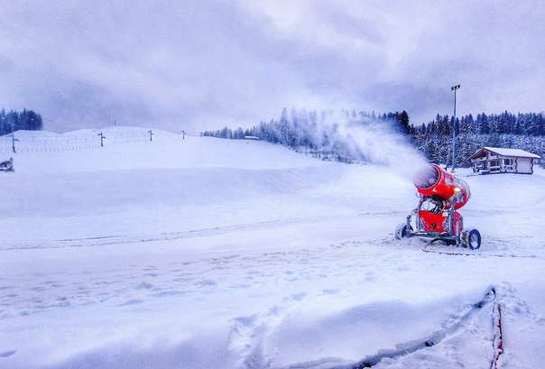 Фото Малиновка