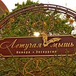 Летучая мышь