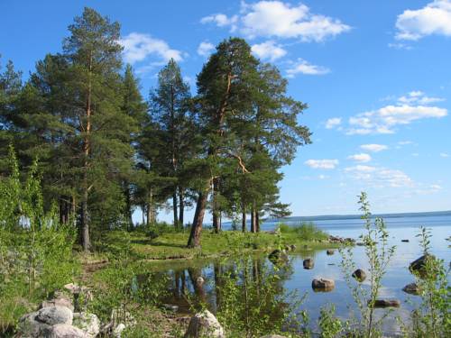 Фото Коттедж Солнечный