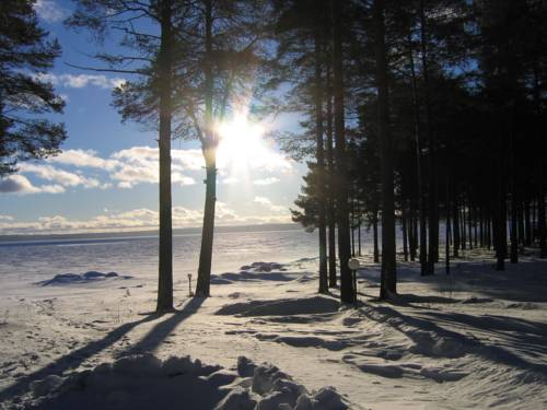 Фото Коттедж Солнечный