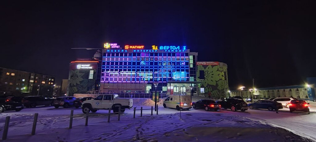 Магазин электроники Kingstore, Новый Уренгой, фото