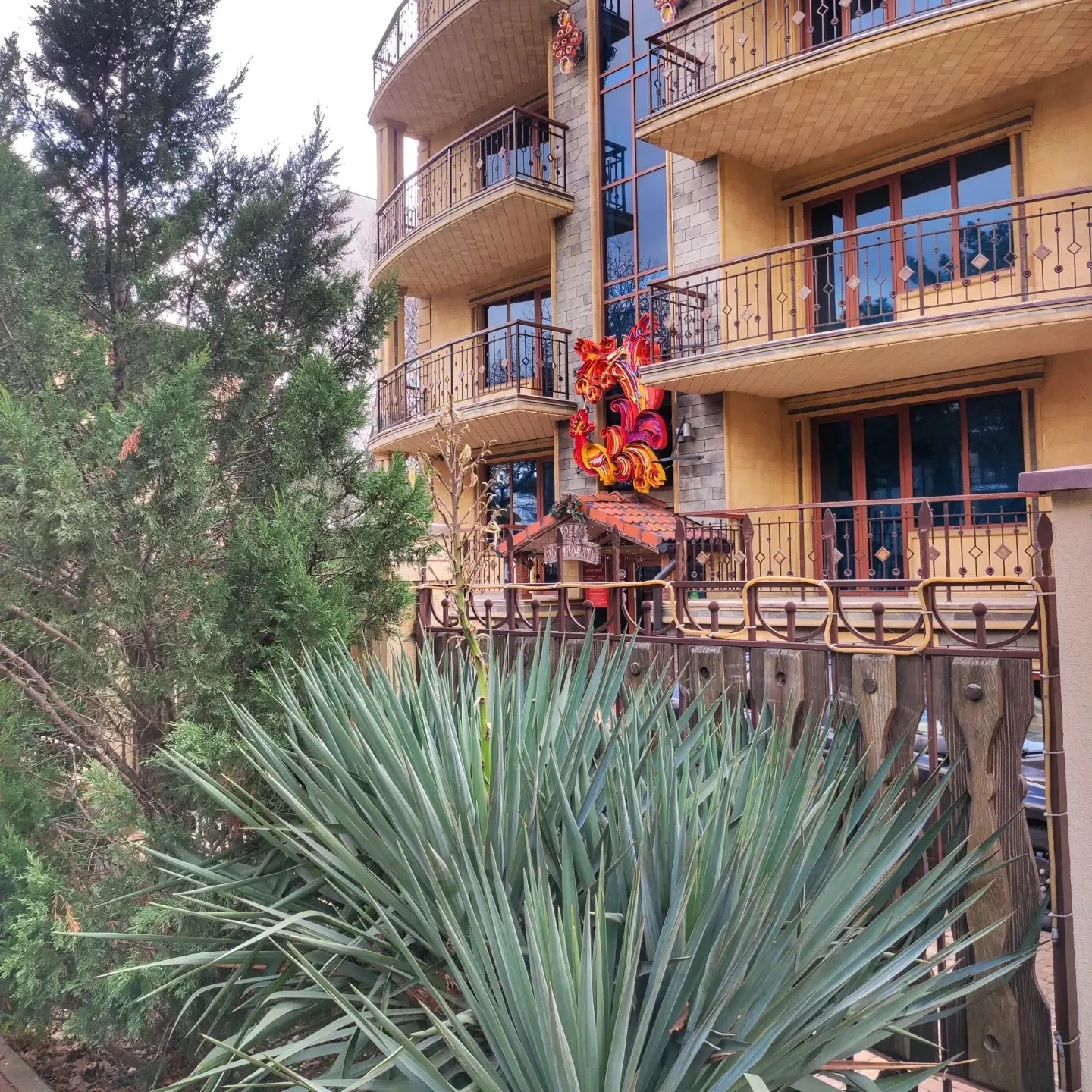 Фото Жар-птица