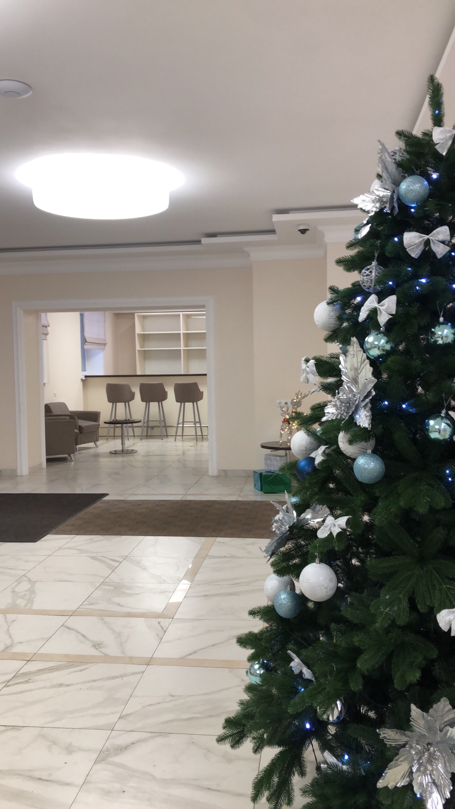 Фото Звезда