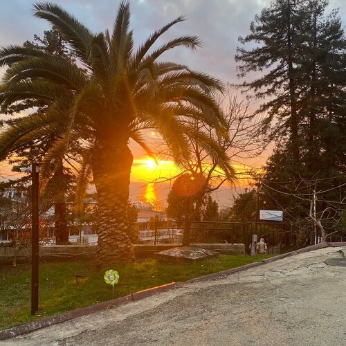 Внешний вид отеля Дивный в Сочах, фото 2