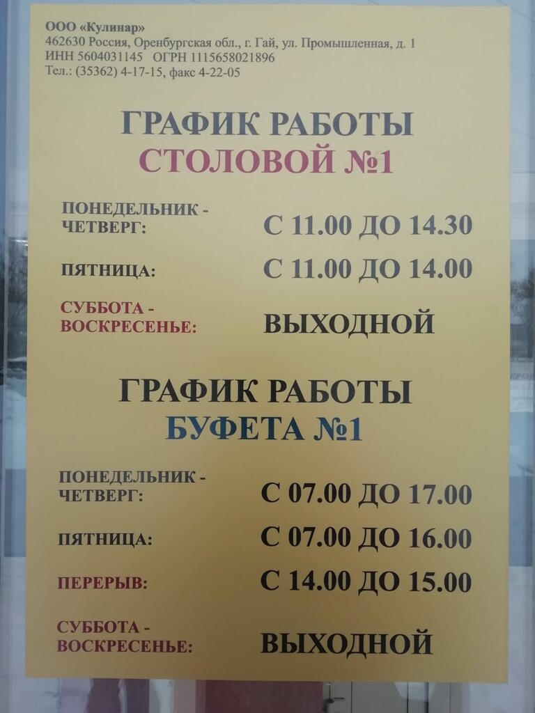 Canteen Столовая № 1, Gay, photo