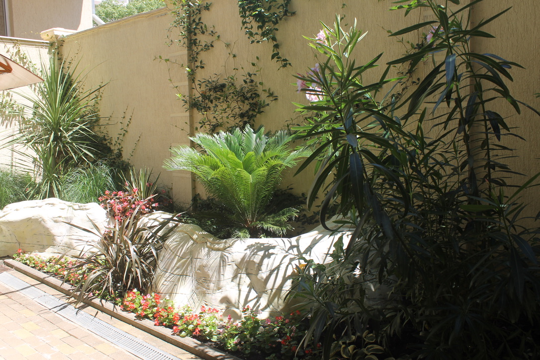 Фото Европа