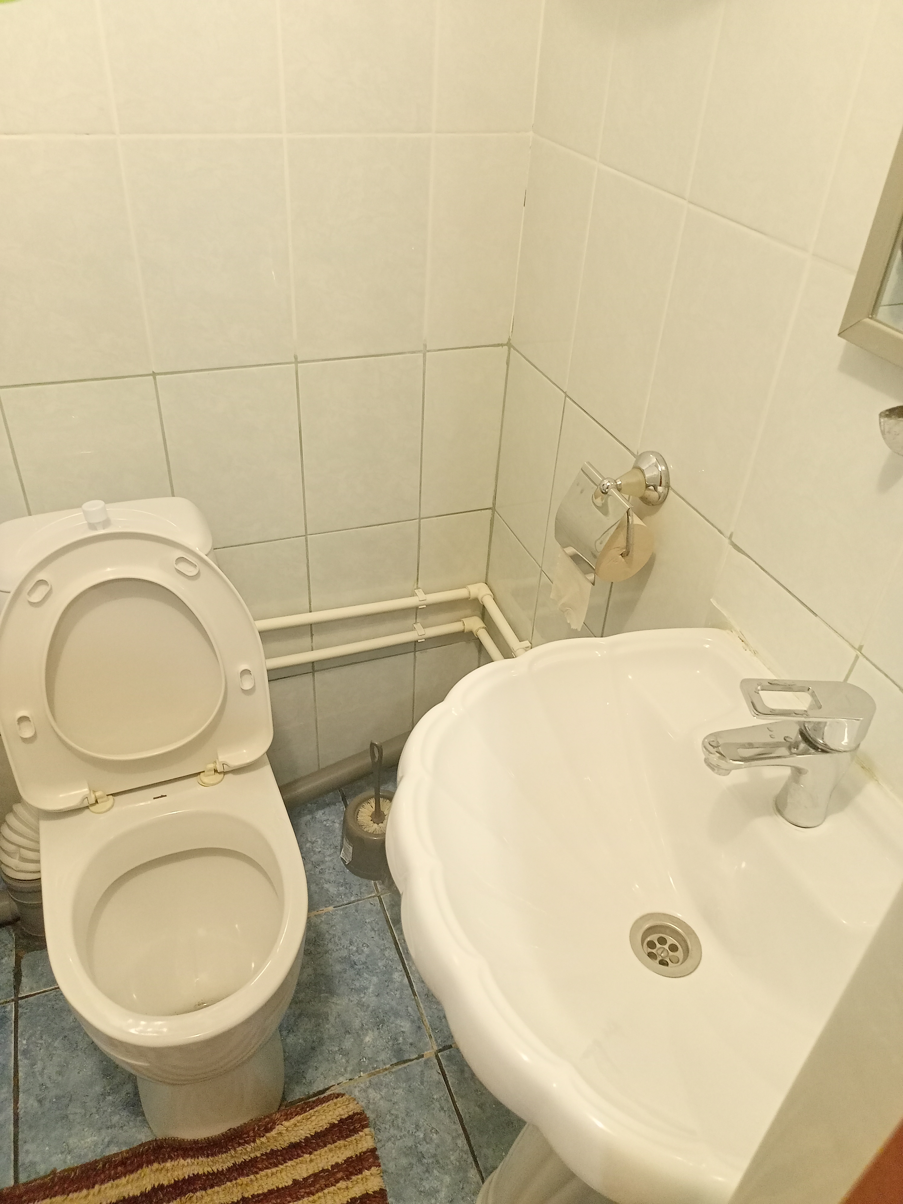 Фото Фаворит