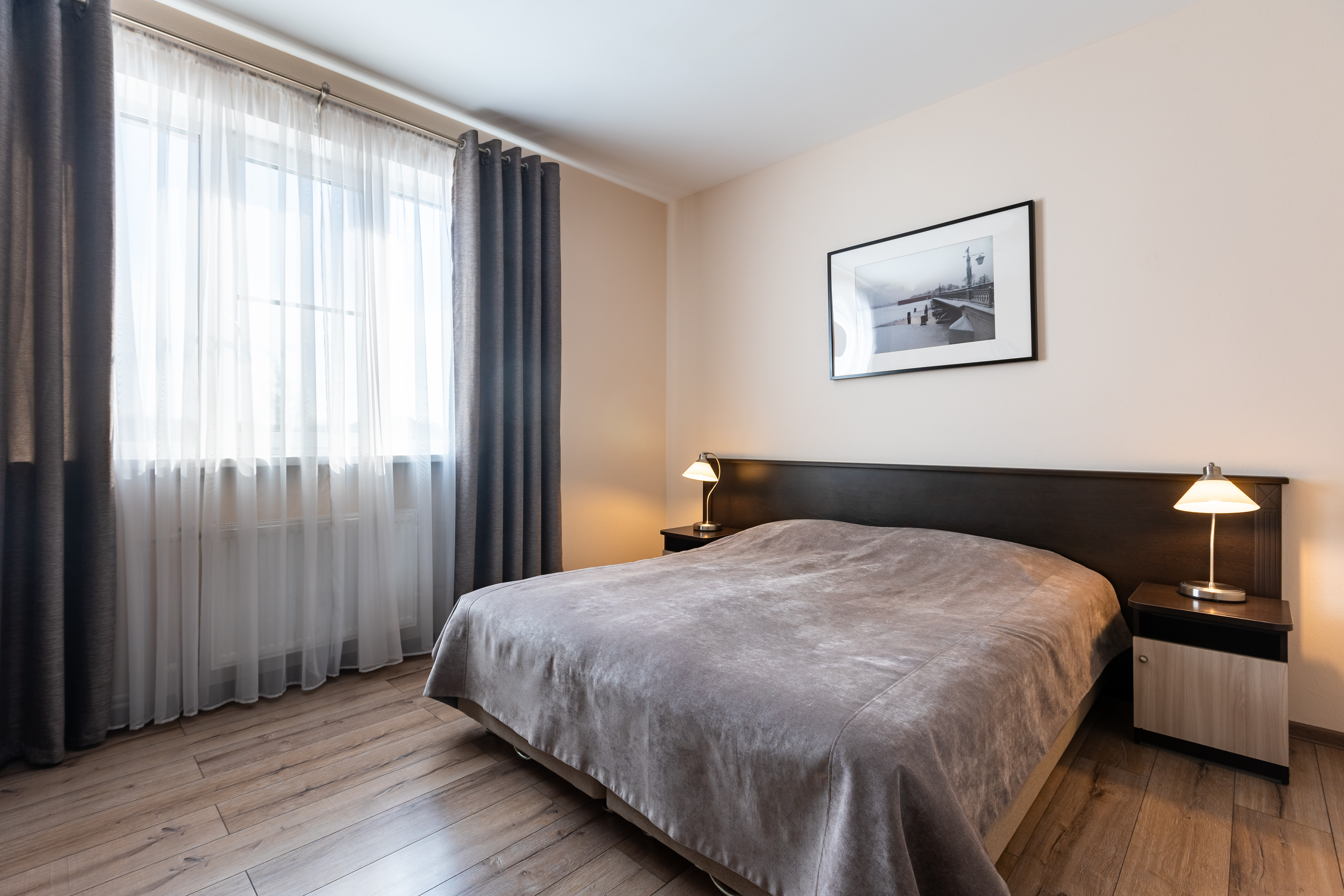 Фото Подсолнух