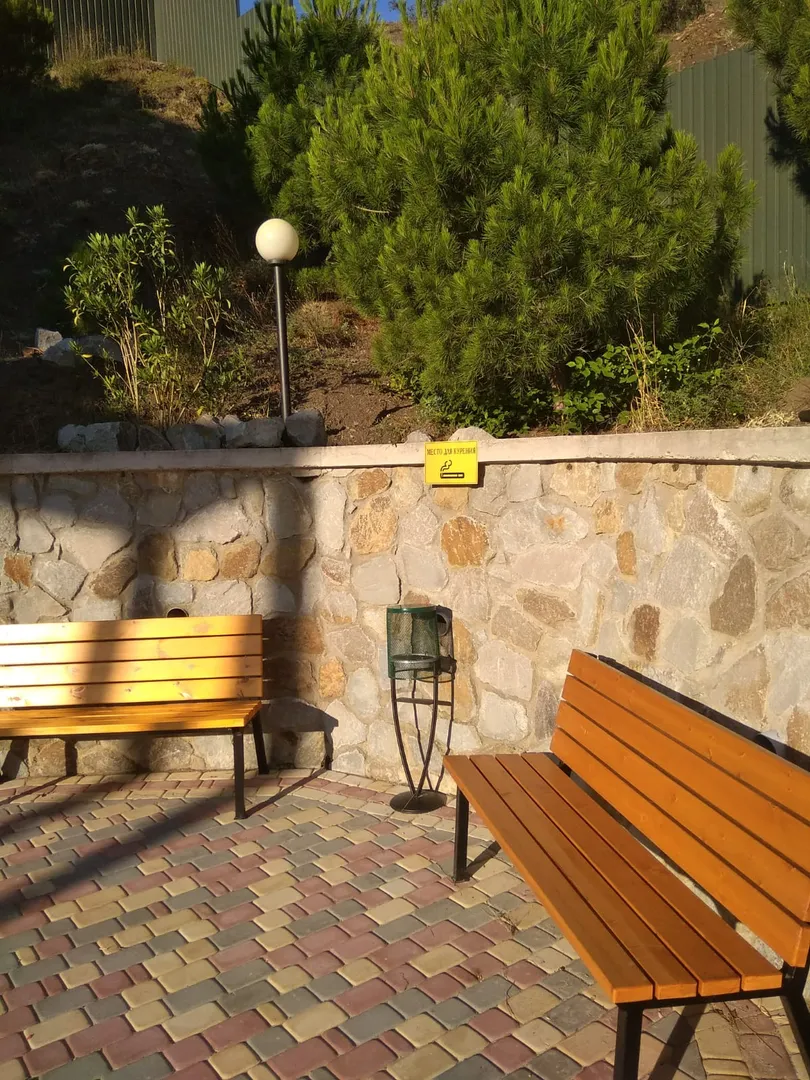 Фото Дельфин