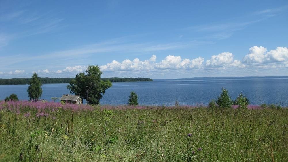 Фото Тамбицы