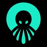 Octopus Production (İstanbul, Beyoğlu, Pürtelaş Hasan Efendi Mah., Cihangir Cad., 11), videography
