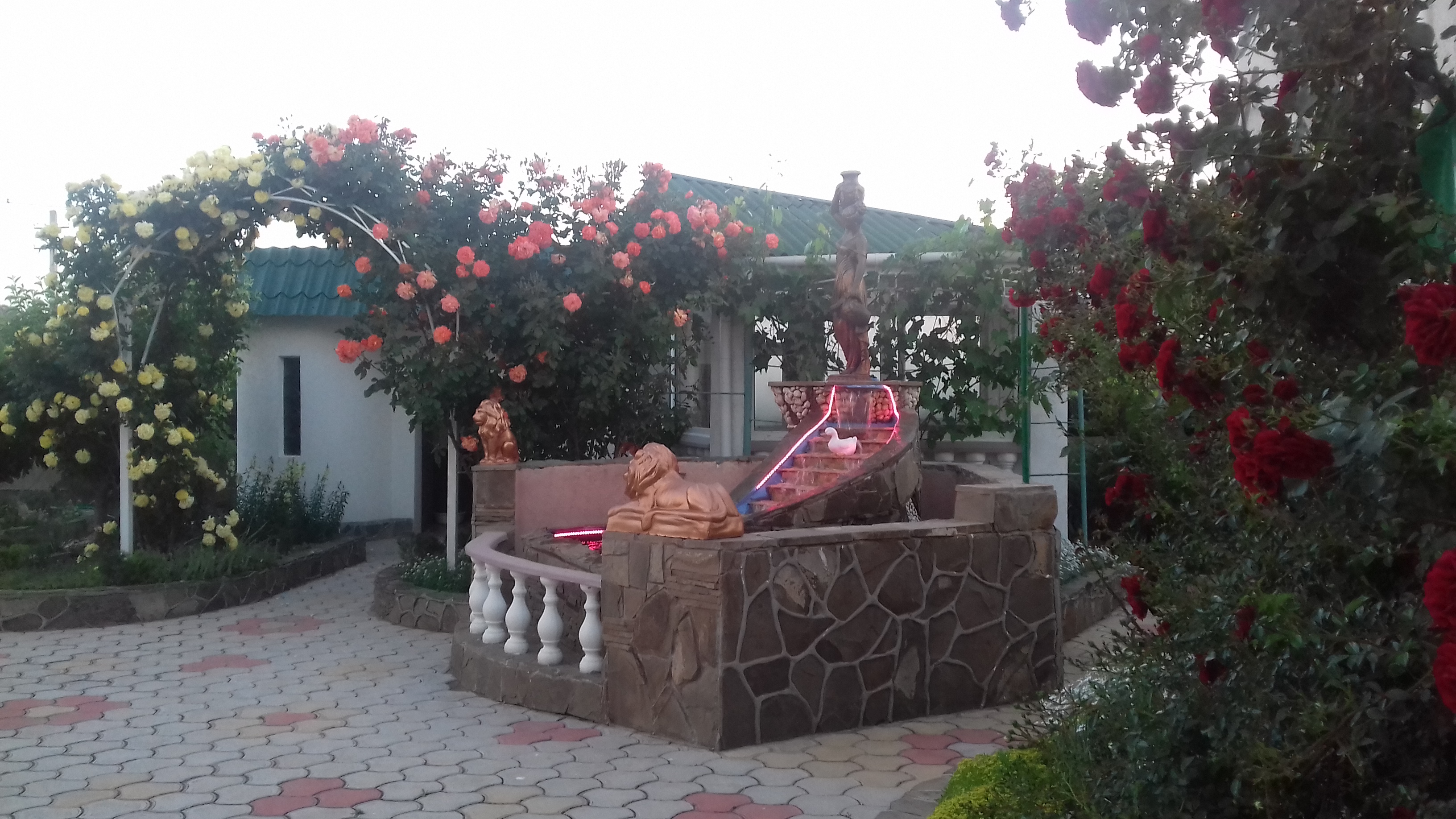 Фото Гостевой дом Агава