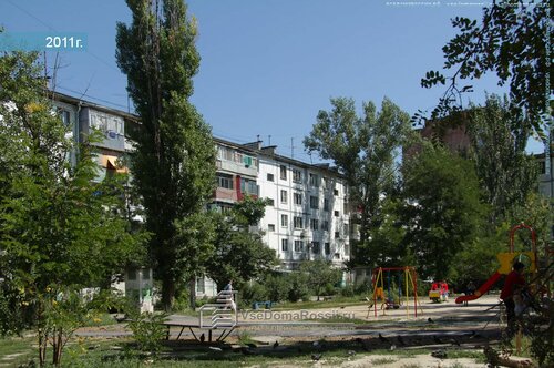 Бұзау адамның шұңқырын сорады