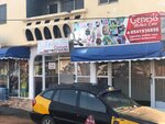 Lordess Solo Couture (Greater Accra Region, Tema Metropolitan, Lashibi, Mantse Afotey Adzin II Road), clothing store