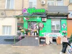 Amor (Korkmasova Street, 16), floristeria