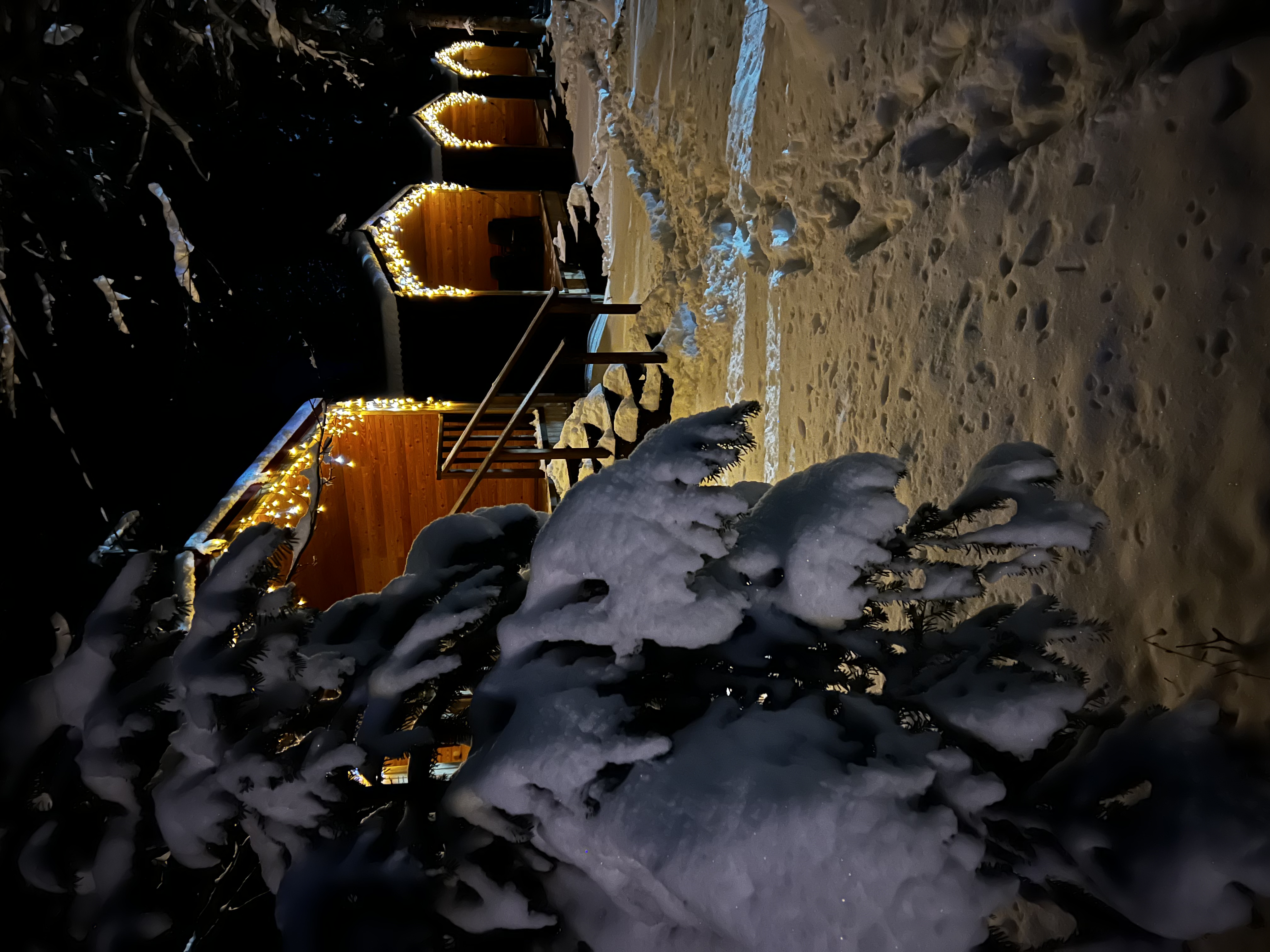 Фото Forest House Resort