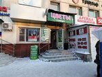 Tsvety Sibiri (ulitsa Kirova, 47А), floristeria