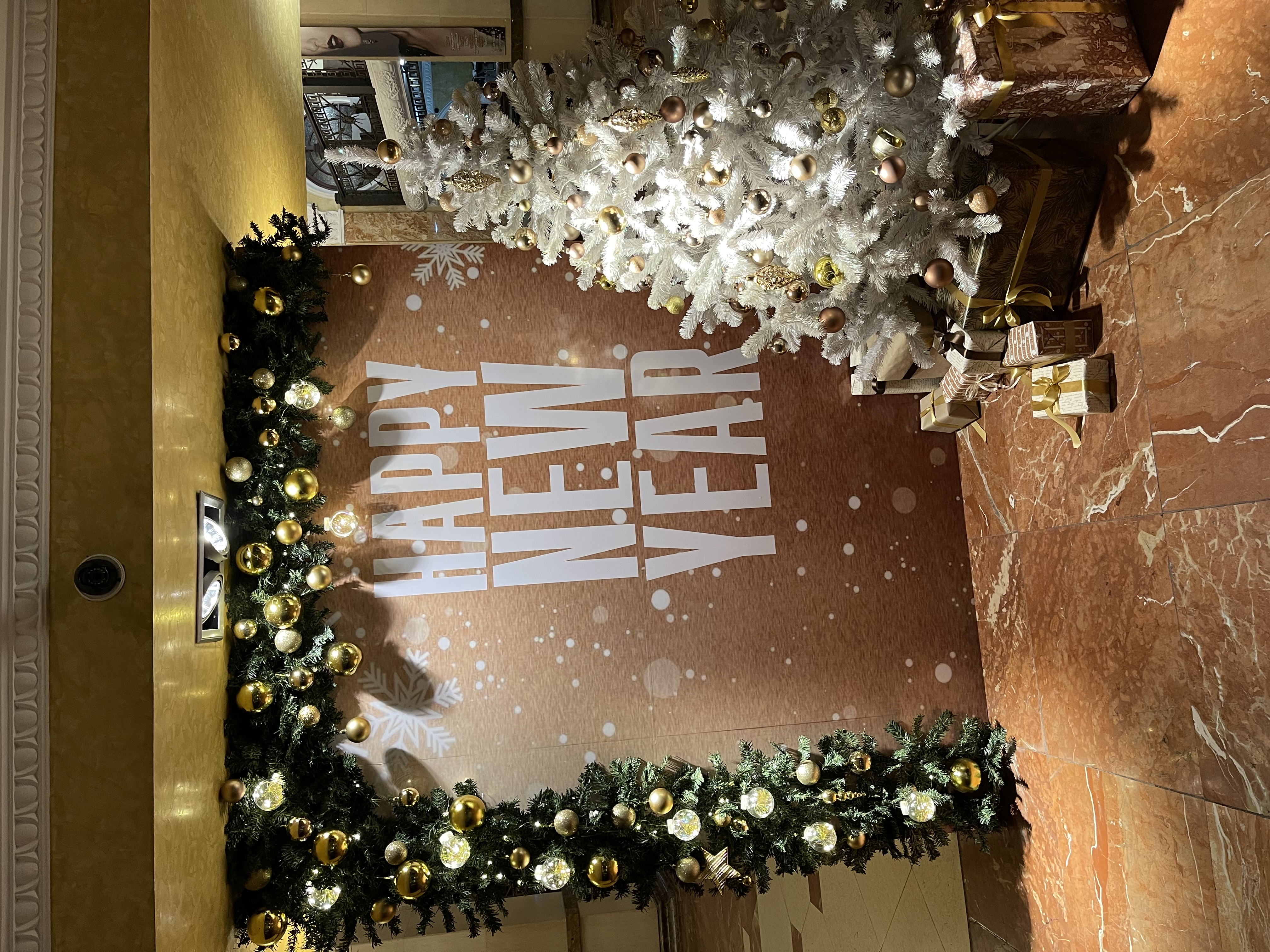 Фото Shiny River