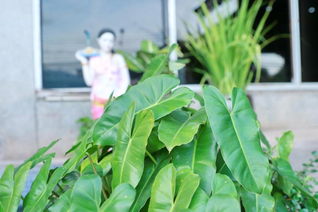 Фото Krabi Royal Hotel