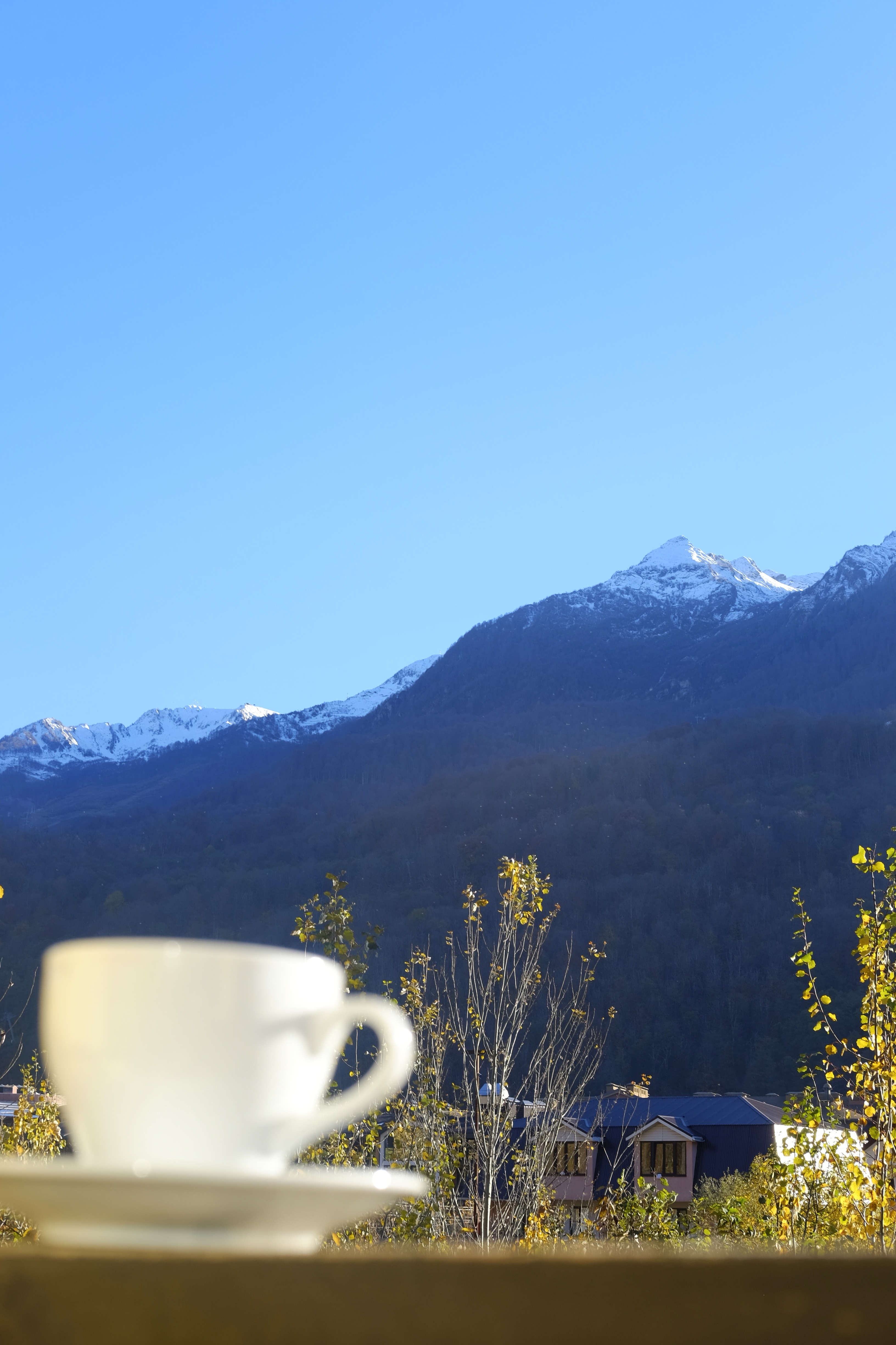 Фото Медвежий дом