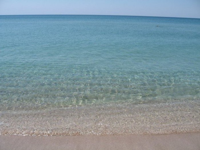 Фото У Людмилы