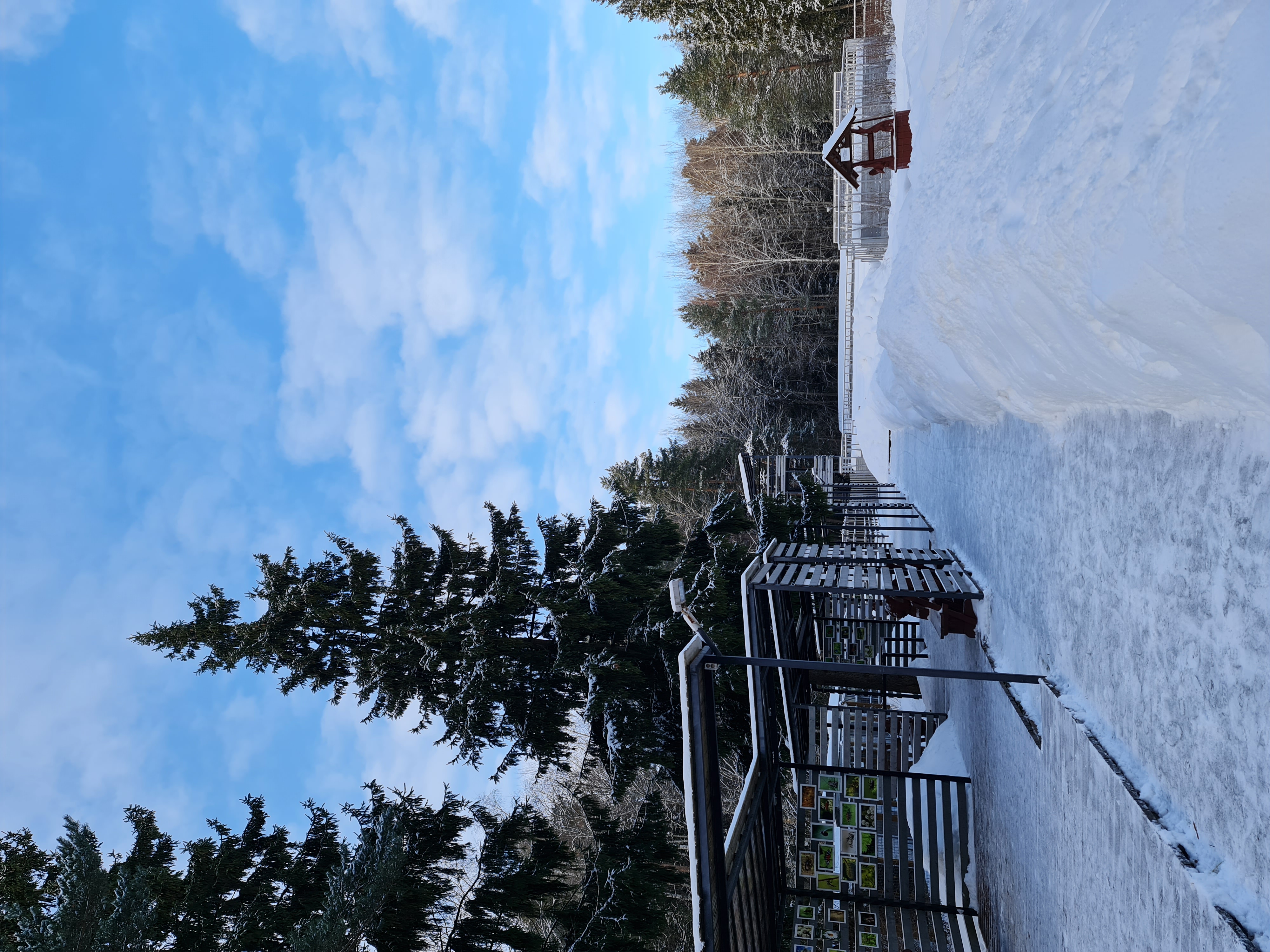 Фото Бенедикт