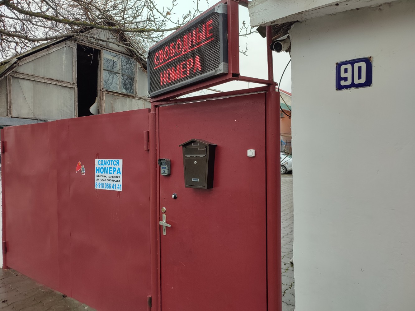 Фото Светлана