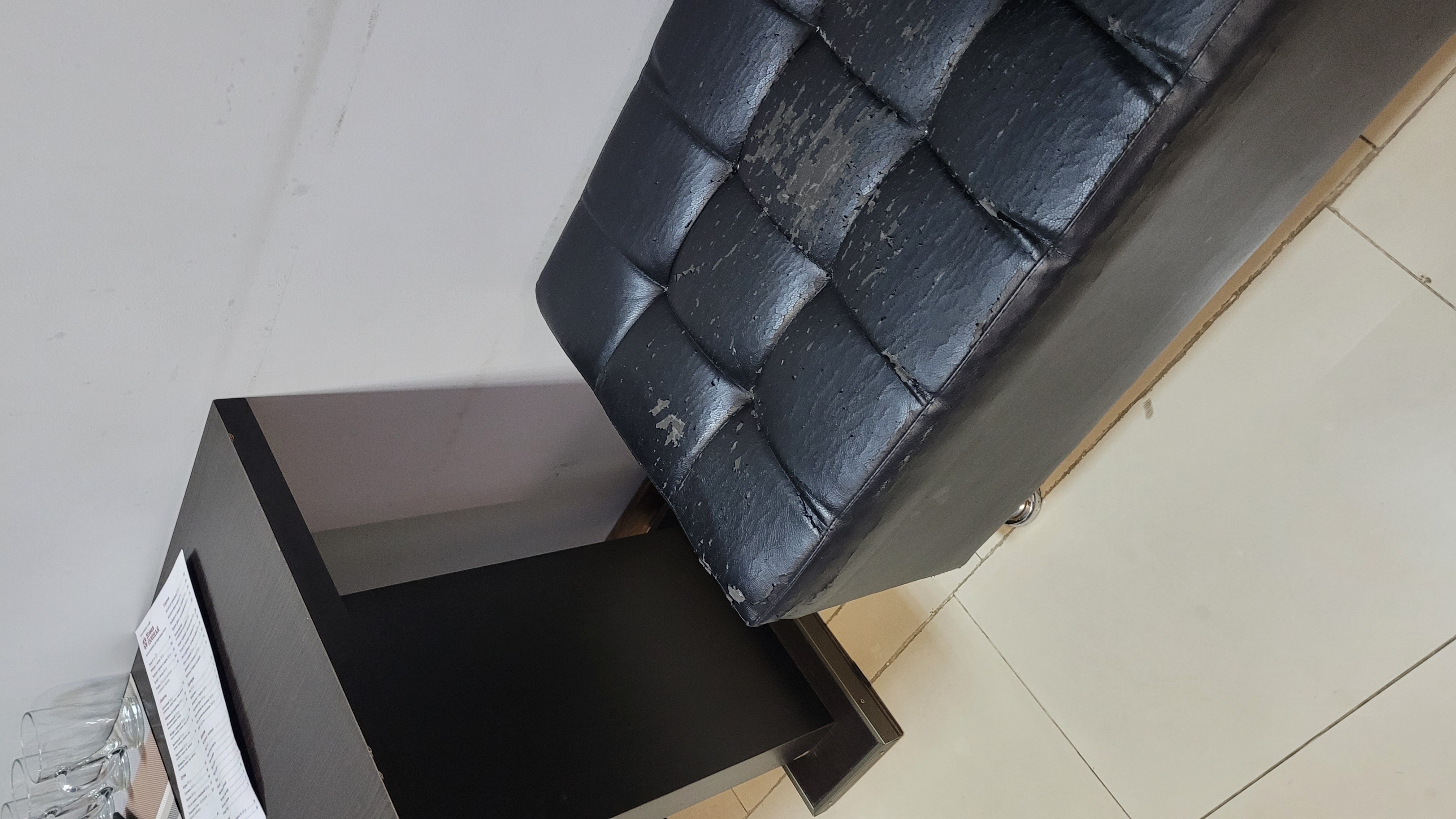 Фото Альбатрос