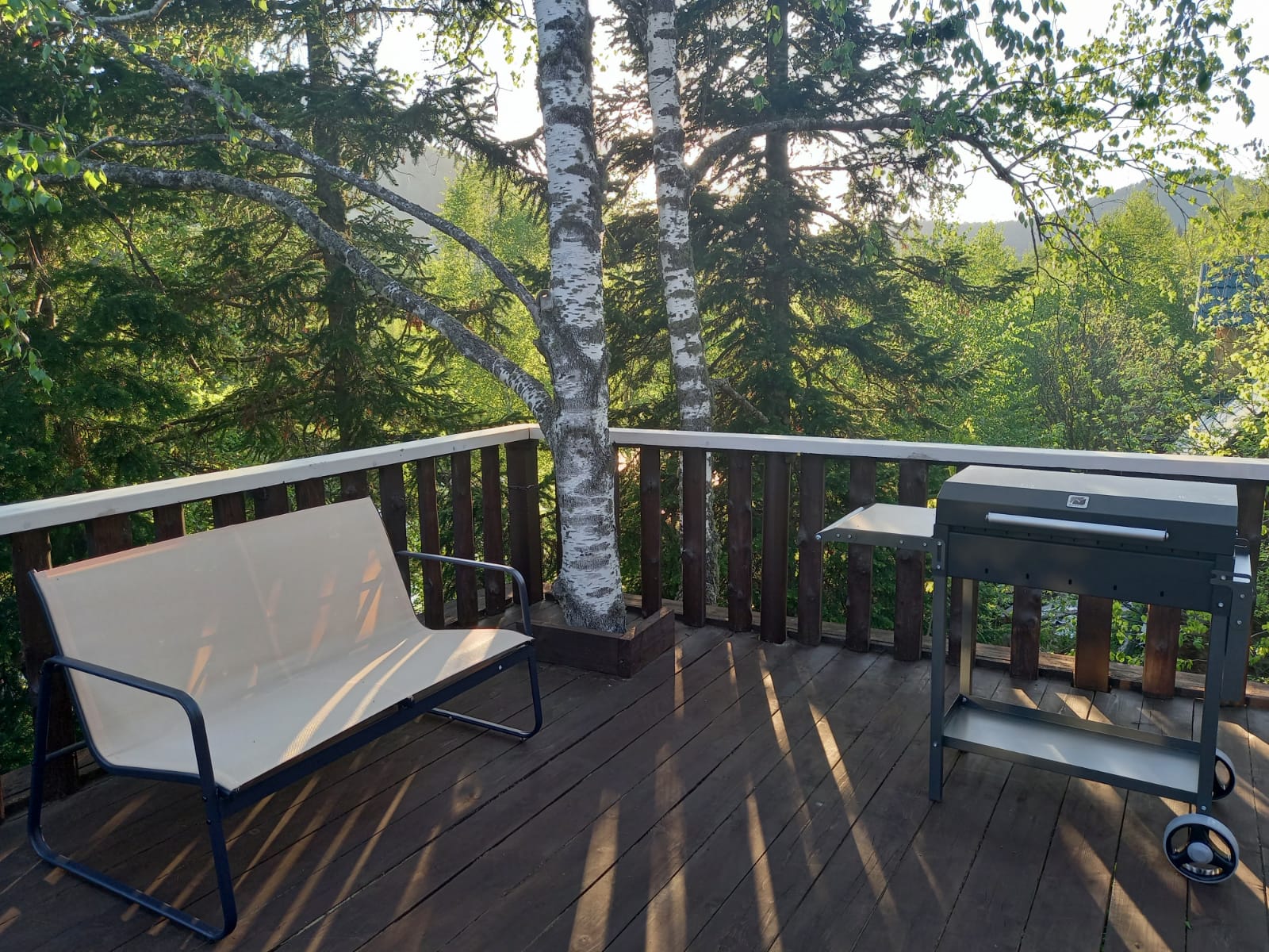 Фото Золотая сова