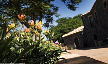 Фото Le Cisterne dell'Etna