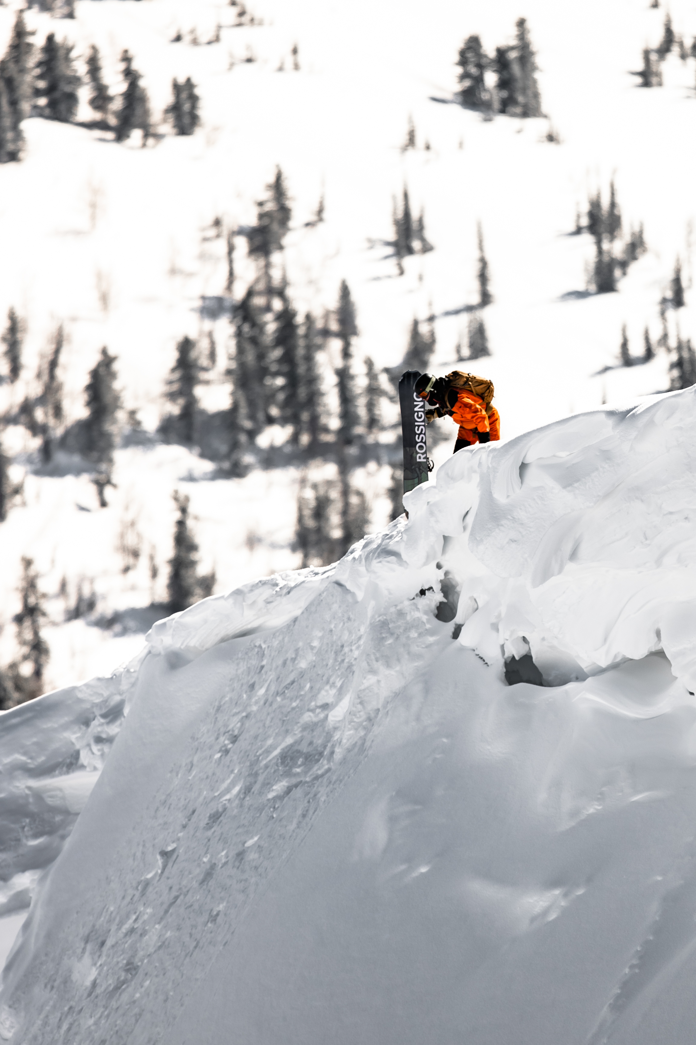 Фото Таёжная резиденция Ажур Приисковый