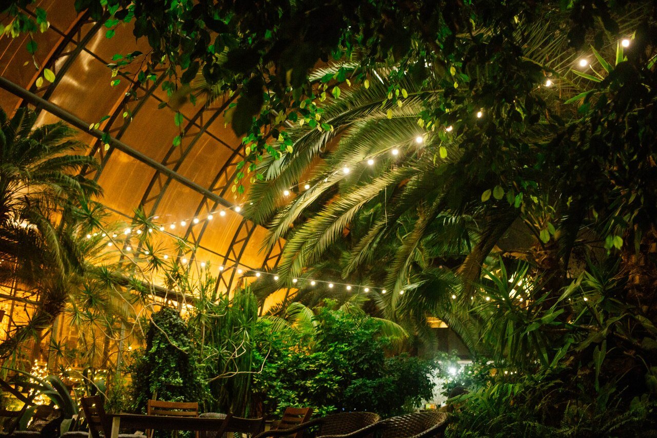 Ботанический сад санкт петербург тропики