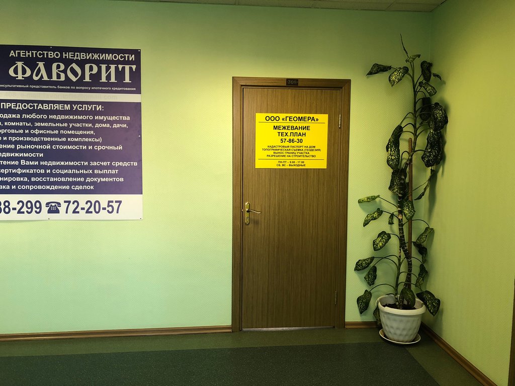 Cadastral works Geomera, Syktyvkar, photo