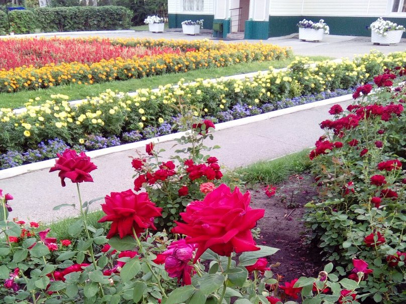 Фото Санаторий имени В. И. Ленина