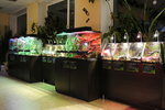 Kostromskoy Ekzotarium (Sovetskaya Street, 53Б), zoo