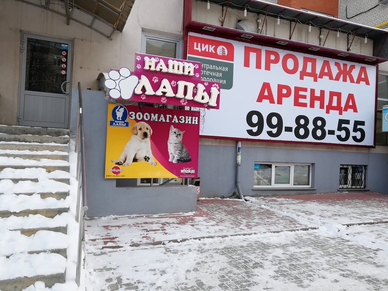 4 Лапы Рязань Адреса Магазинов