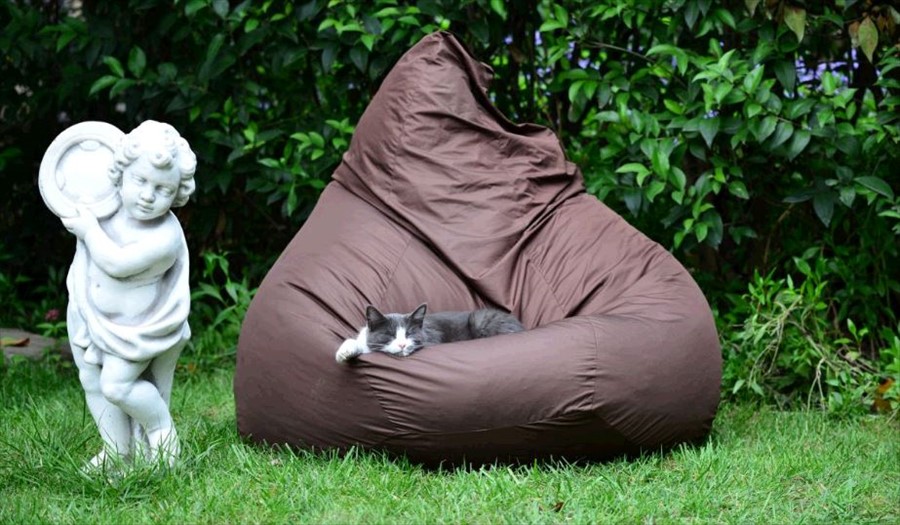 Фото Голден