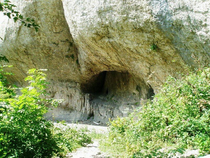 Пихтовый бор — фото 15