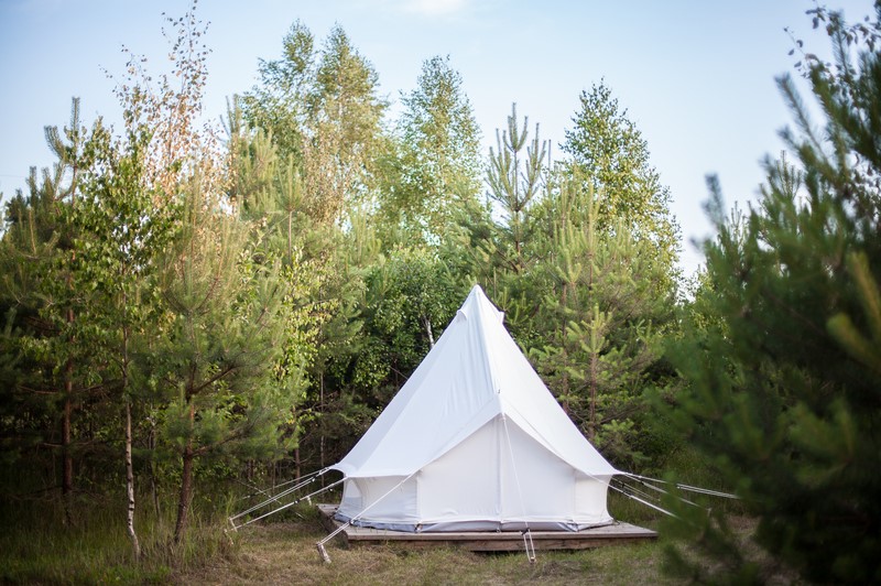 Фото Никола-Ленивец