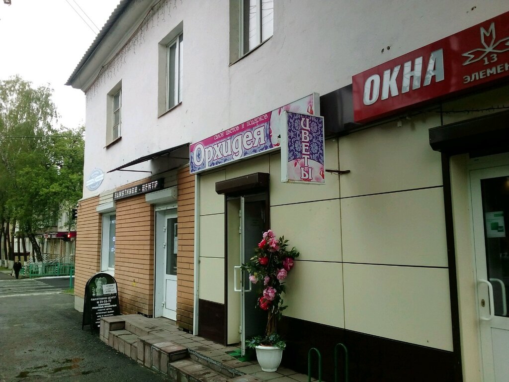 Орхидея ул баскакова 14 фото