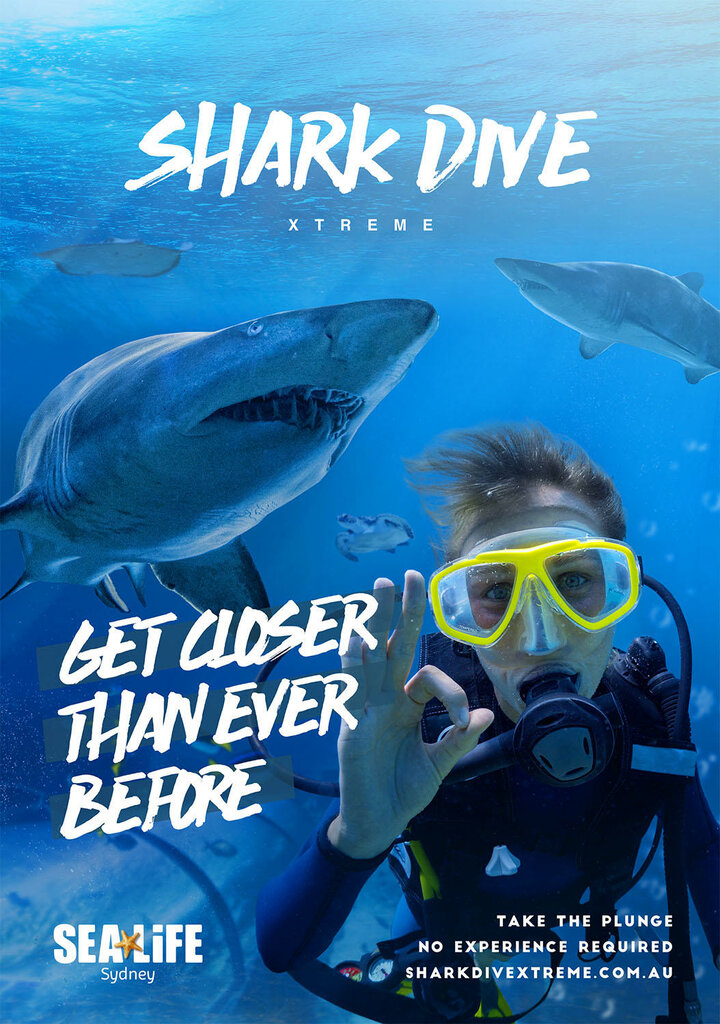 Landmark, attraction Shark Dive Xtreme, Sydney, photo