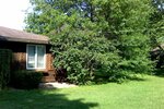 Mohawk Valley Tree Specialist's (New York, Oneida County), urban improvement