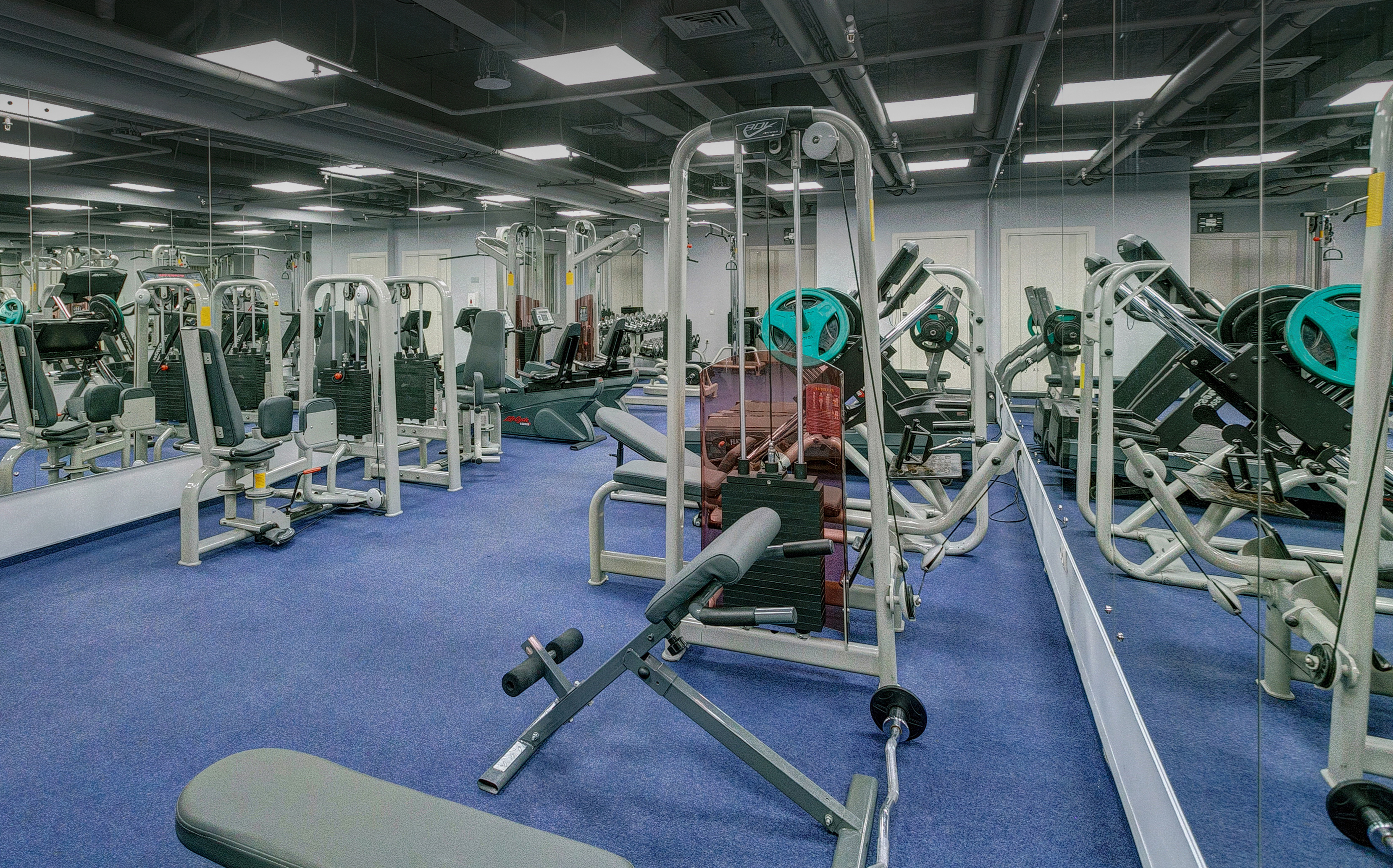 Фото Альянс Бородино