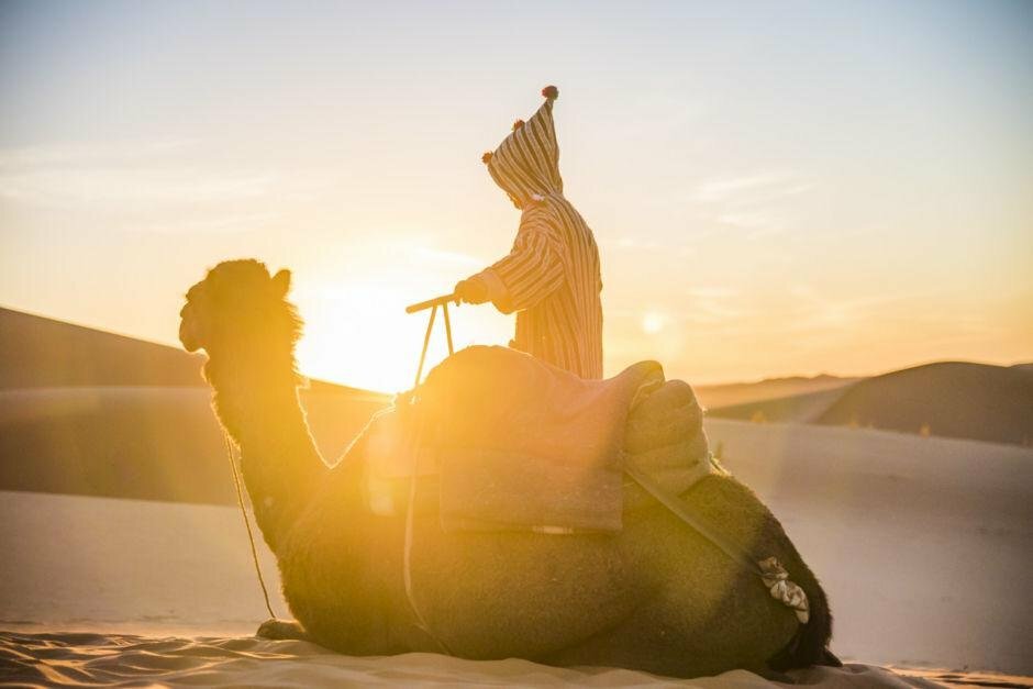 Hotel Bivouac Sahara Relax, Zagora, photo