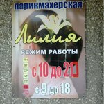 Лилия (Shumenskaya ulitsa, 31), peluquería
