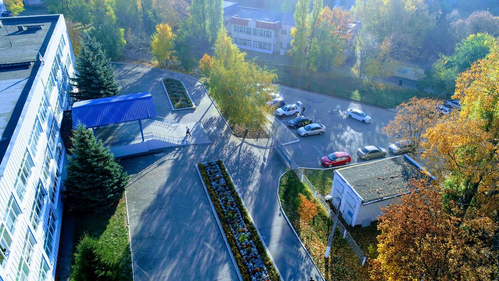 Подлесный, ветеринарная клиника, Республиканская ул., 52Д, Курск - Яндекс Карты