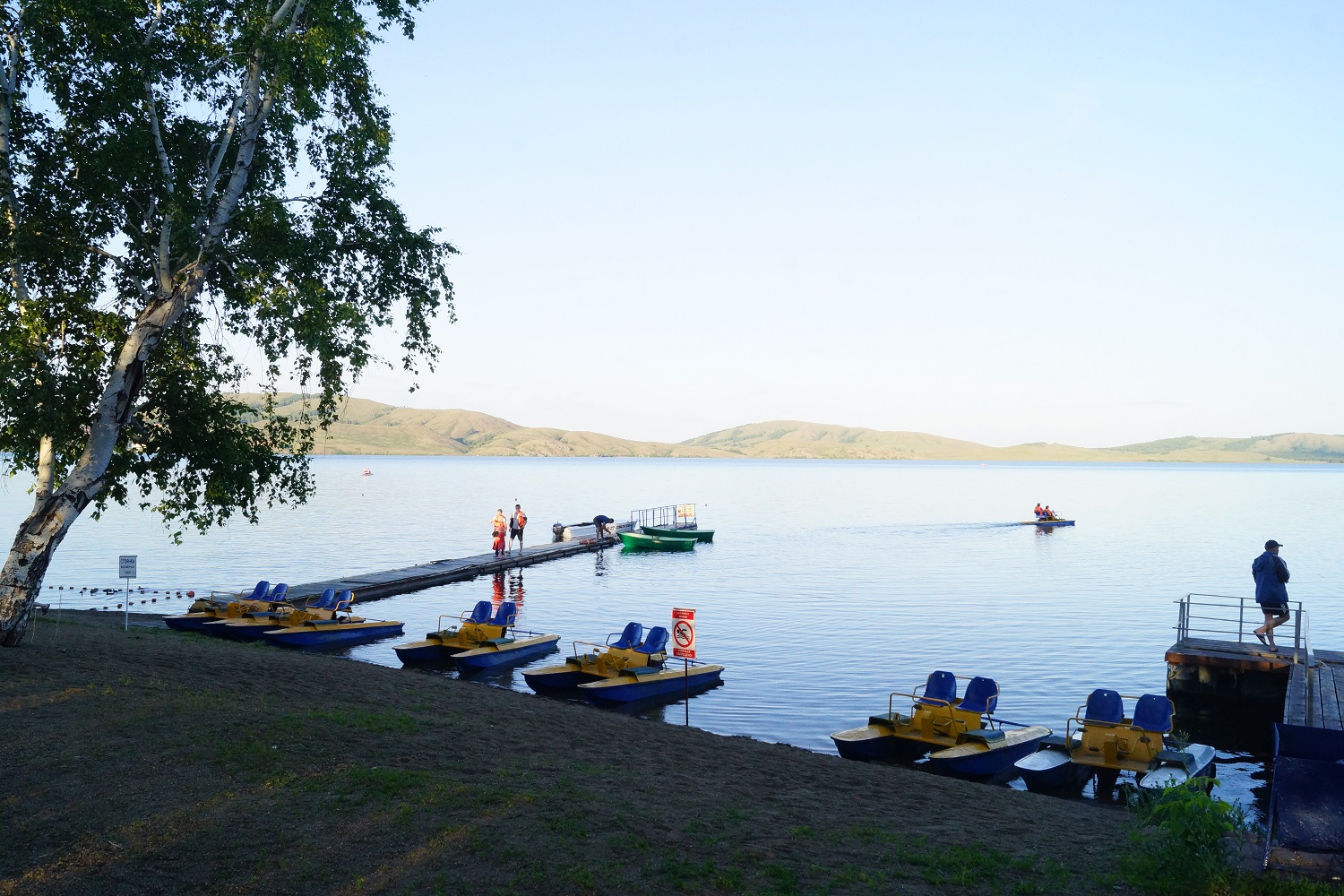 Фото Берёзки